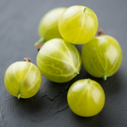 Similar image 2953722