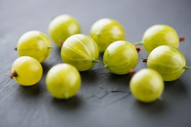 Similar image 2953733