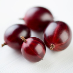 Similar image 2953736