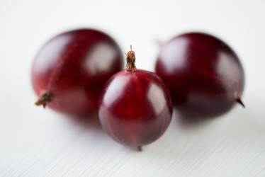 Similar image 2953738