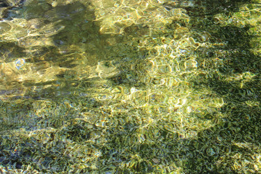 Similar image 2953826