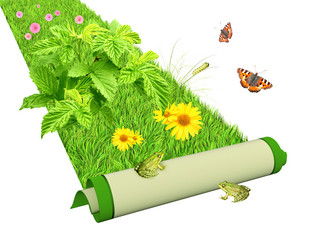 Similar image 2953842