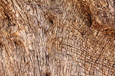 Similar image 2953928