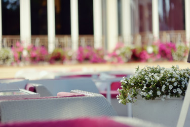 Similar image 2953930