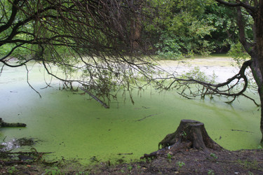 Similar image 2953949