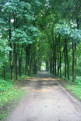 Similar image 2953950