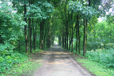 Similar image 2953951