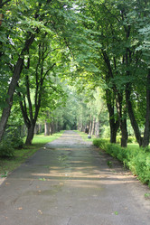 Similar image 2953953