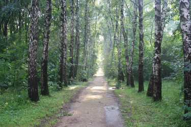 Similar image 2953955