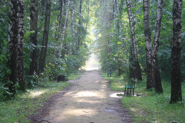 Similar image 2953956