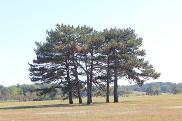 Similar image 2953958