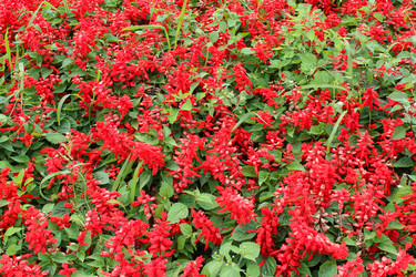 Similar image 2953981