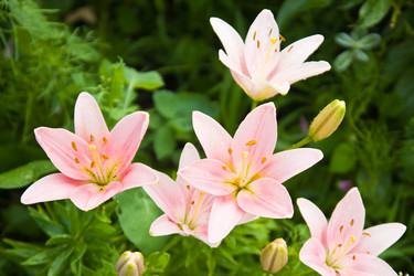 Similar image 2953993