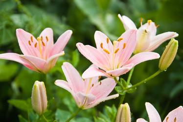 Similar image 2953994