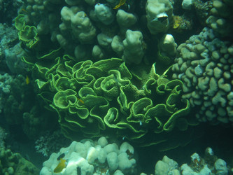 Similar image 2954000