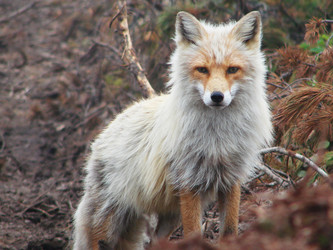 Similar image 2954020