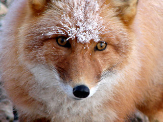 Similar image 2954021