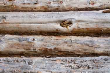 Similar image 2954056