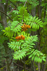 Similar image 2954057