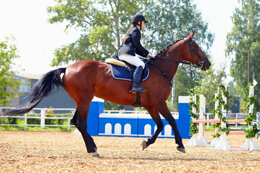 Similar image 2954082