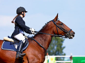 Similar image 2954089