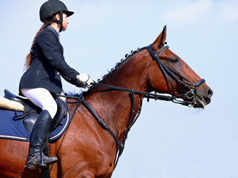 Similar image 2954091