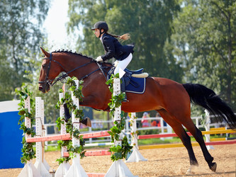 Similar image 2954093