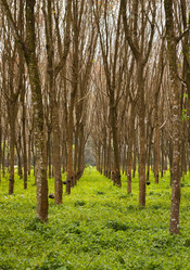 Similar image 2954100