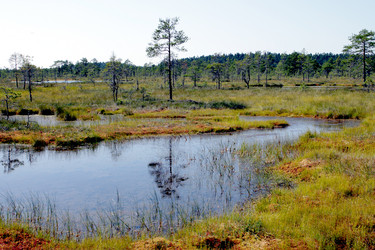 Similar image 2954140