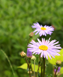 Similar image 2954145