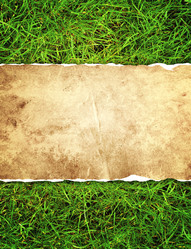 Similar image 2954158