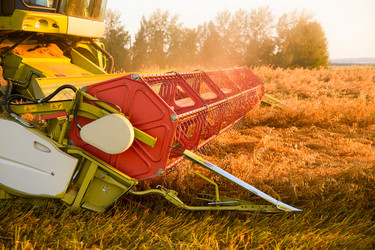 Similar image 2954182