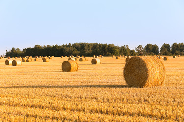 Similar image 2954202