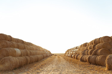 Similar image 2954203