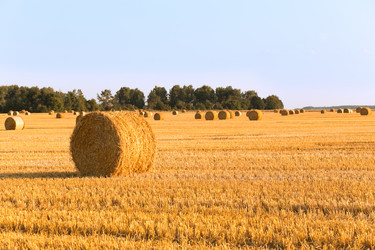 Similar image 2954205