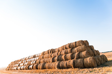 Similar image 2954212