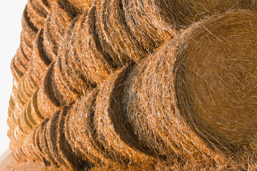 Similar image 2954218