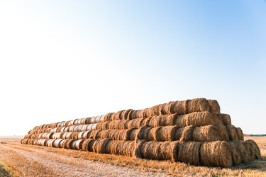 Similar image 2954219