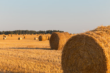 Similar image 2954242