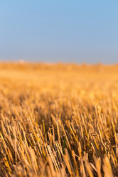 Similar image 2954256