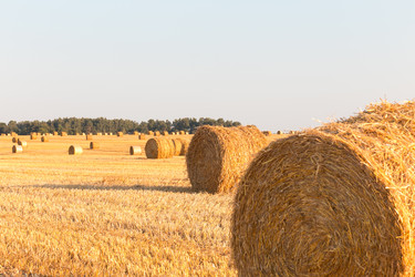 Similar image 2954261