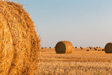 Similar image 2954280