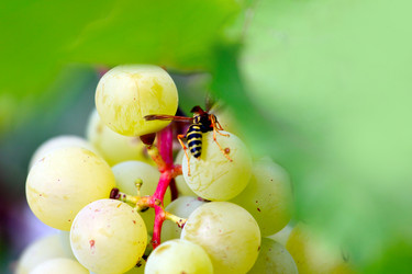 Similar image 2954358