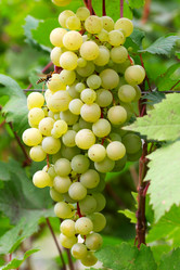 Similar image 2954362