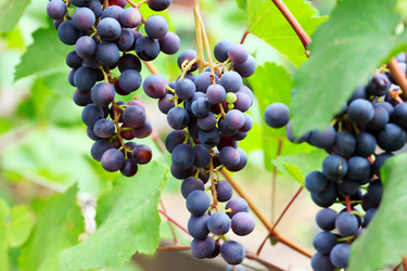 Similar image 2954364