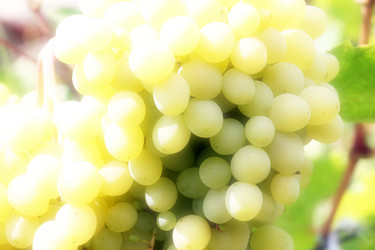 Similar image 2954365