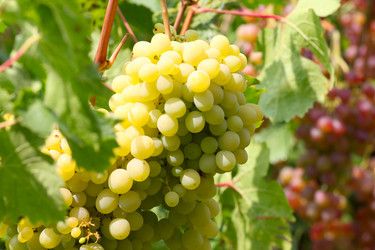 Similar image 2954367