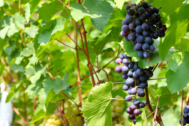 Similar image 2954368