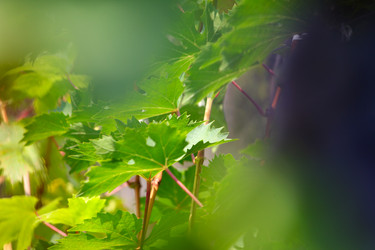 Similar image 2954369