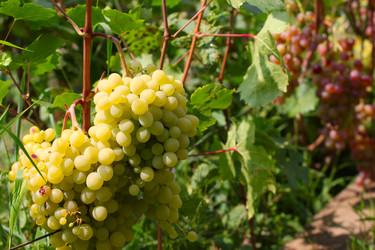 Similar image 2954370